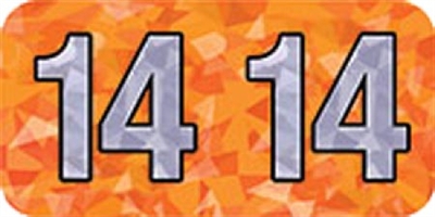 Holographic Yearband Label (Rolls) 500 - 2014 - Orange - HOYM Series - Polylaminatd