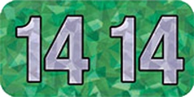 Holographic Yearband Label (Rolls) 500 - 2014 - Green - HGYM Series - Polylaminated