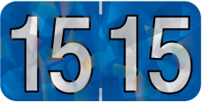 Holographic Yearband Label (Rolls) 500 - 2015 - Blue - HBYM Series - Polylaminated