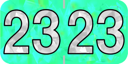 Holographic Yearband Label (Rolls) 500 - 2023 - Aqua - HAYM Series - Polylaminated