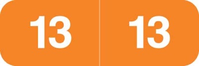 Ames Colorfile Yearband Label (Rolls of 500) - 2013 - Orange - Laminated 1