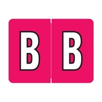 DataFile Alpha Label - AL8720 Series (Rolls) - B