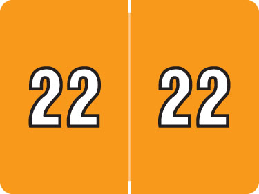 2022 Lt Orange DataFile Yearband Label AL8800 Series | Yearband