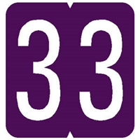 GBS Numeric Label - 3 - Purple - Mini Label 1" H x 1-1/4" W - 500 per box