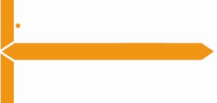 GBS Name Label (Pack of 1000) - Orange - 8852 Series