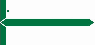 GBS Name Label (Pack of 1000) - Green - 8852 Series