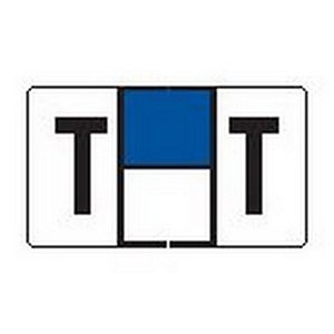 Jeter Series 7900 - Traco Match - Alphabetical Labels - T -1 5/8" W x 15/16" H - 240 Labels Per Pack - Labels come on Sheets to fit 3 Ring Binder