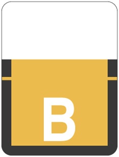 TAB Alphabetic Labels - 1307 Series (500 per Roll) B- Lt. Orange