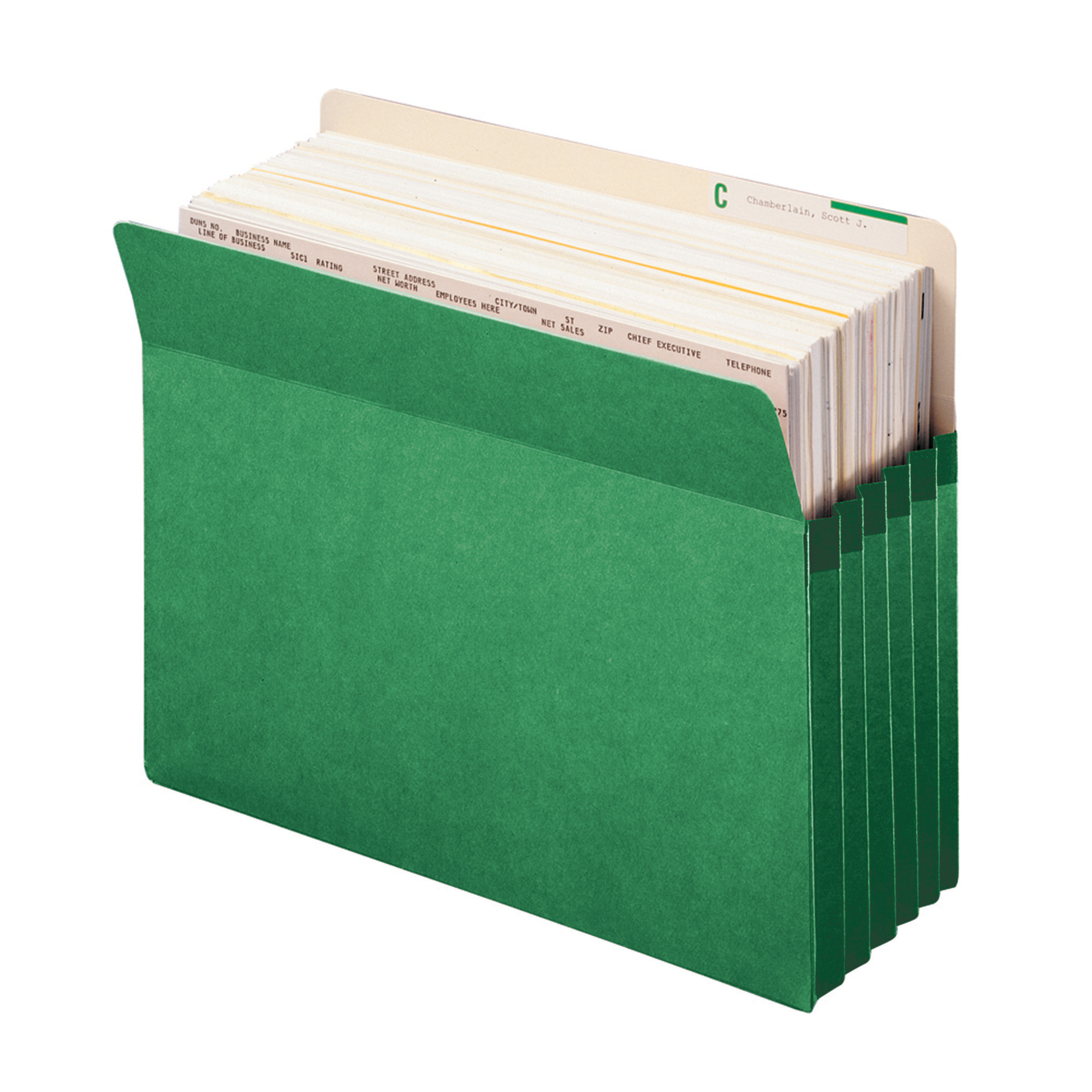 Smead 73236  File Pocket, Straight-Cut Tab, 5-1/4" Expansion, Letter Size, Green, 10 per Box (73236)