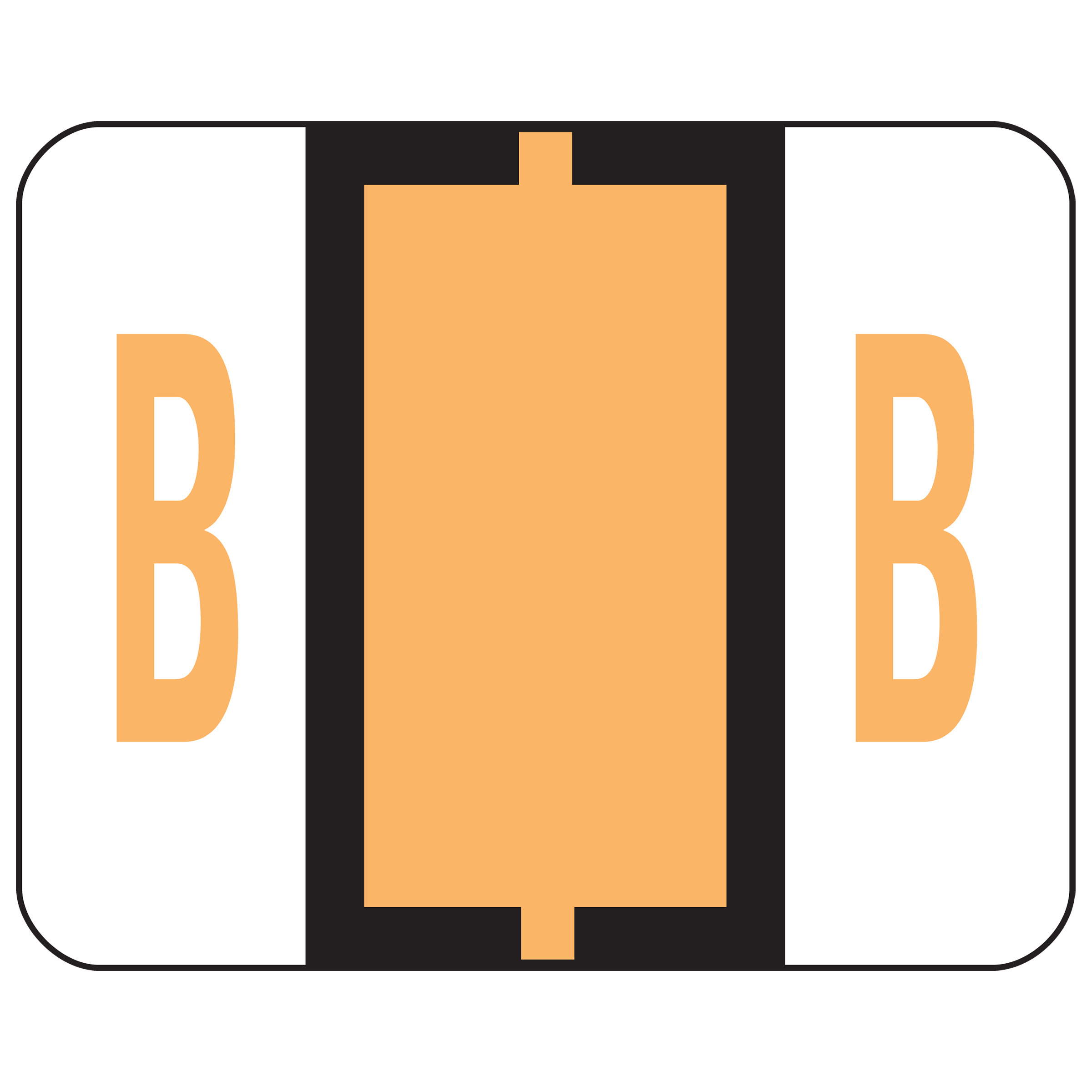 Smead 67072  BCCR Bar-Style Color-Coded Alphabetic Label, B, Label Roll, Light Orange, 500 labels per Roll, (67072)