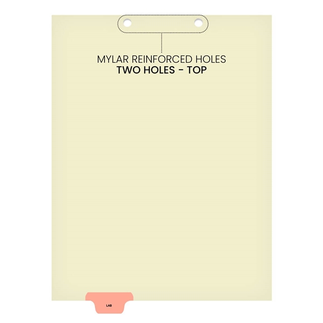"Lab"  Bottom Tab Index Chart Divider - Pink Tab in Position 3 - 100/Pack