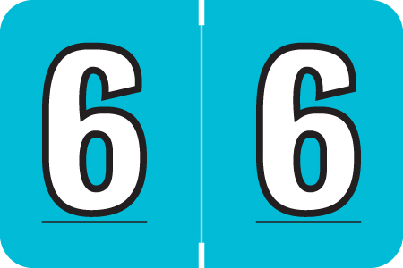 Amerifile L1000 Series Numeric Label - "6" - Turquoise Color - ARNM Series - 1-1/2" W x 1" H - 500/Roll