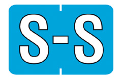 Amerifile ColorBrite Alpha Labels - Letter S - Turquoise - 1 1/2 W x 1 H - Roll of 500