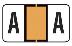Jeter 5800 Series Labels Letter "A" for Ringbook - Sheets for Binder - Color Fl. Orange -240 Labels per Pack