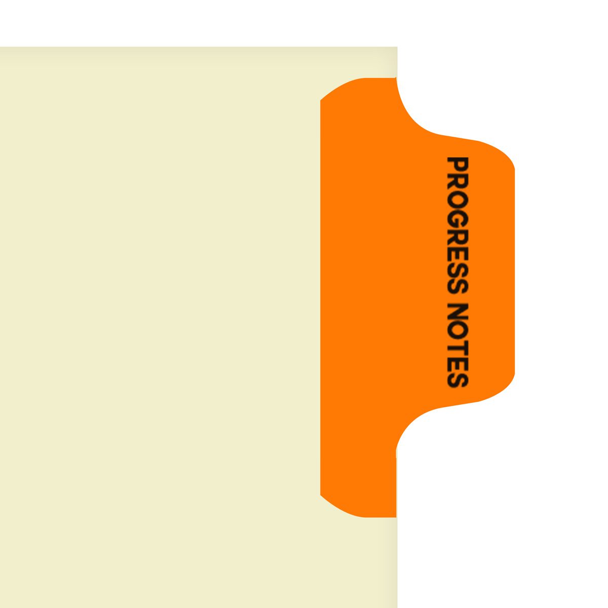 "Progress Notes" -  Side Tab Index Chart Divider- Orange Tab Position 1 - 100/Package