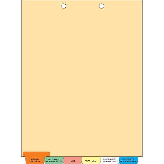 Medical Chart Divider Sets, Medical Pre-Printed Tabs, Bottom Tabs, 1/6th cut - 65 Sets of 6 Tabs