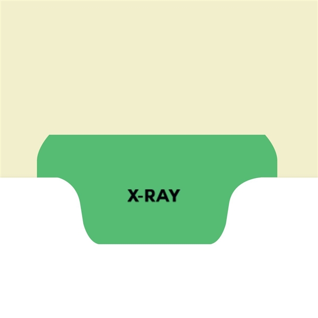 "X-Ray" - Bottom Tab File Back Chart Divider - Green Tab in Position 4 Box of 50