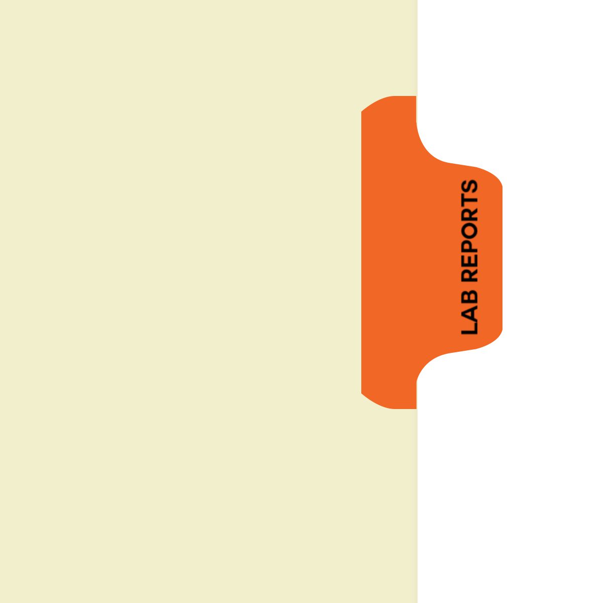 "Lab Reports"  Amerifile Side Tab Individual Fileback Dividers - Orange Tab Position 3 - Divider - Box of 50