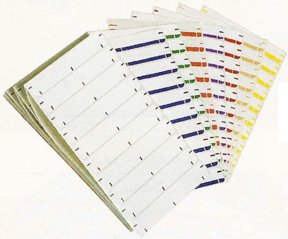 Amerifile (Jeter 1800 series Compatible) Name Labels - Green - 3 1/2"W x 5/8"H - Pack of 250