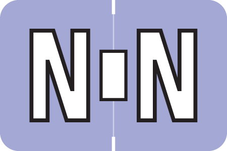 AmeriFile ColorBrite Alpha Labels - Letter N - Purple - 1 1/2 W x 1 H - Rolls of 500