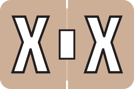 AmeriFile ColorBrite Alpha Labels - Letter X - Brown - 1 1/2 W x 1 H - Rolls of 500