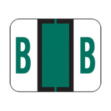 AmeriFile the File Doctor Compatible Alpha Labels - Letter B - Green - 1 1/4 W x 1 H  - Roll of 500