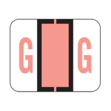 AmeriFile the File Doctor Compatible Alpha Labels - Letter G - Pink - 1 1/4 W x 1 H  - Roll of 500