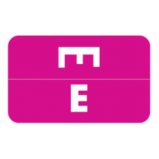 AmeriFile Alpha-Z Compatible Color-Coded Alpha Labels - Letter E - Purple - 1 W x 1 5/8 H - Roll of 250