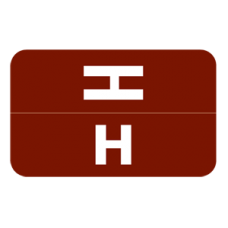 AmeriFile Alpha-Z Compatible Color-Coded Alpha Labels - Letter H - Brown - 1 W x 1 5/8 H - Roll of 250