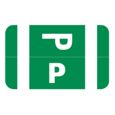 AmeriFile Alpha-Z Compatible Color-Coded Alpha Labels - Letter P - Green - 1 W x 1 5/8 H - Roll of 250