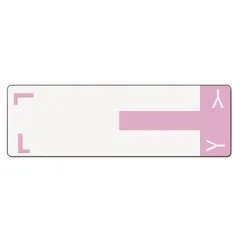 AmeriFile Alpha-Z Compatible Alpha Name Labels - Letter LY - Purple - 3 5/8 W x 1 1/8 H - Package of 100 Labels