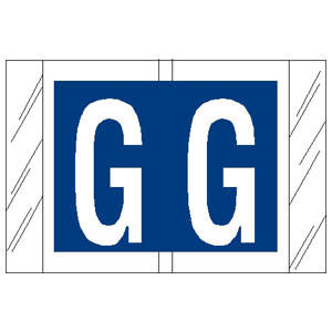AmeriFile Genuine Col'R'Tab 12000 Series Alpha Labels - 1 1/2 W x 1 H - Letter G - Blue - 100 Labels per Pack (10 Labels Per Sheet, 10 Sheets Per Pack)