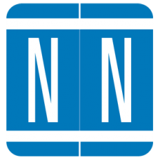 AmeriFile GBS / V.R.E. System 1 Compatible Alpha Labels - 1 1/4 W x 1 5/16 H - Letter N - Blue - Pack of 200 Labels