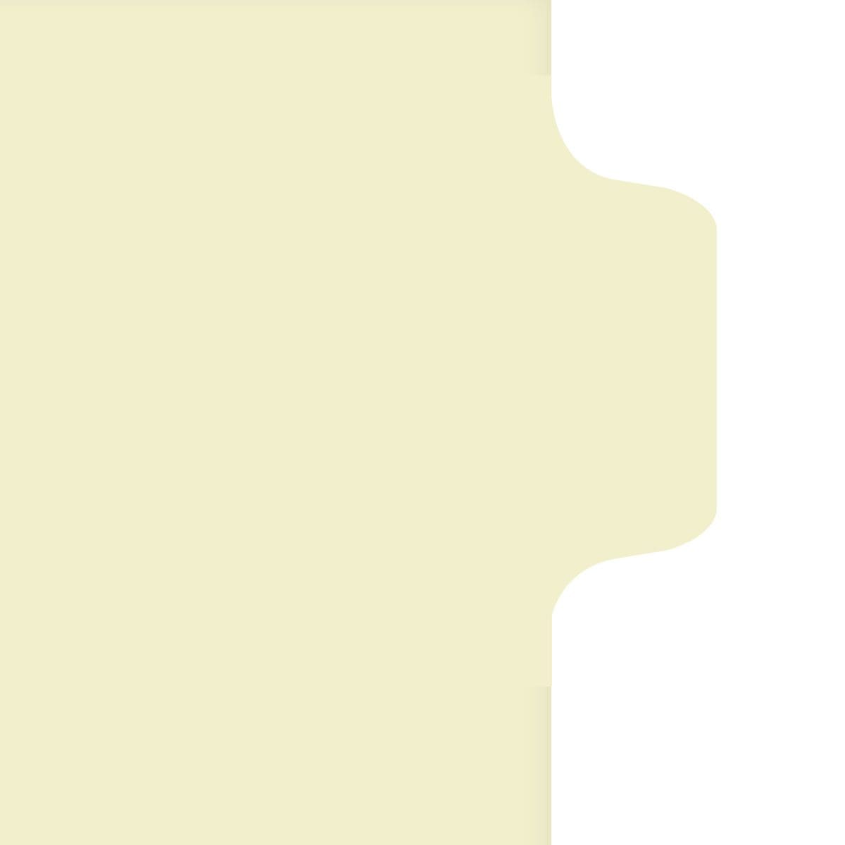 Medical Arts Press Match Write-On Side Tab Chart Dividers- Blank, Tab Position 2- Clear (100/Pkg) (56831)