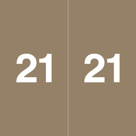 Ames Colorfile Yearband Label (Rolls of 500) - 2021 - Brown - AEYM Series - Laminated - 1-7/8" H x 1-7/8" W