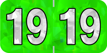 Holographic Yearband Label (Rolls) 500 - 2019 - Green - HGYM Series - Polylaminated -3/4" H x 1-1/2" W