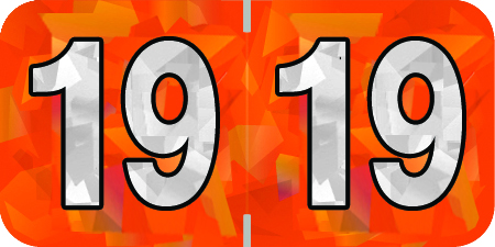 Holographic Yearband Label (Rolls) 500 - 2019 - Orange - HOYM Series - Polylaminated -3/4" H x 1-1/2" W