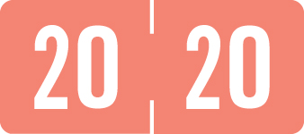 TAB Yearband Label (Rolls of 500) - 2020 - Pink - TPYV Series - Vinyl -  1/2" H x 1-1/8" W