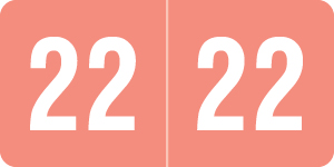 Smead Yearband Label (Rolls of 500) - 2022 - Pink - SMYM Series - Laminated