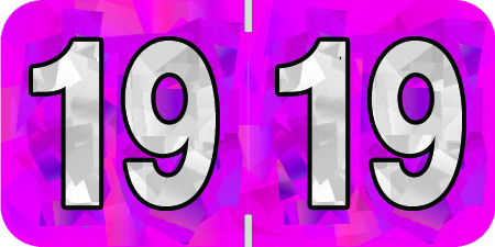 Holographic Yearband Label (Rolls) 500 - 2019 - Pink - HFYM Series - 3/4" H x 1-1/2" W - Polylaminated - 500/Roll