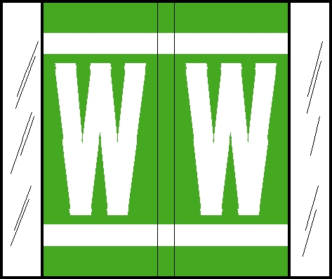 Tabbies GBS/VRE 14610 Compatible Alpha Labels, Light Green, 1-5/16"H x 1-1/2"W, "W", 500 Labels/Roll