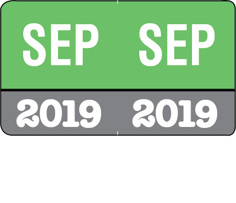 Month/Year Labels 2019 - Complete Set Jan-December - 2,700 Labels - 1-1/2" W x 1" H