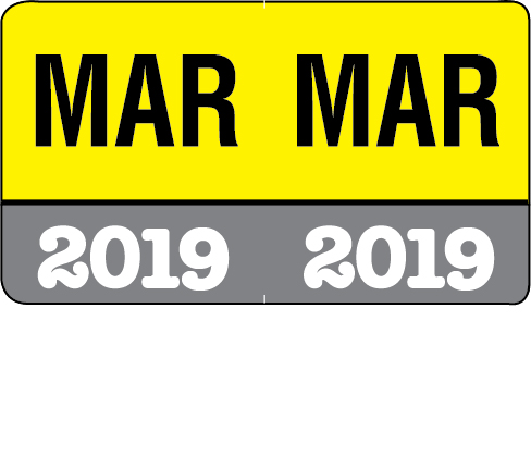 Month/Year Labels 2019 - Complete Set Jan-December Convenience Pack - 216 Labels Total (18 of each month) - 1-1/2" W x 1" H