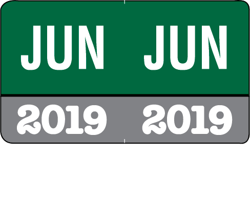 Month/Year Labels 2019 - Complete Set Jan-December Convenience Pack - 216 Labels Total (18 of each month) - 1-1/2" W x 1" H