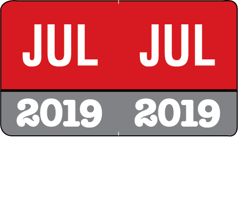 Month/Year Labels 2019 - Complete Set Jan-December Convenience Pack - 216 Labels Total (18 of each month) - 1-1/2" W x 1" H