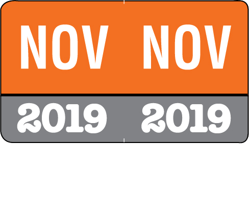 Month/Year Labels 2019 - Complete Set Jan-December Convenience Pack - 216 Labels Total (18 of each month) - 1-1/2" W x 1" H