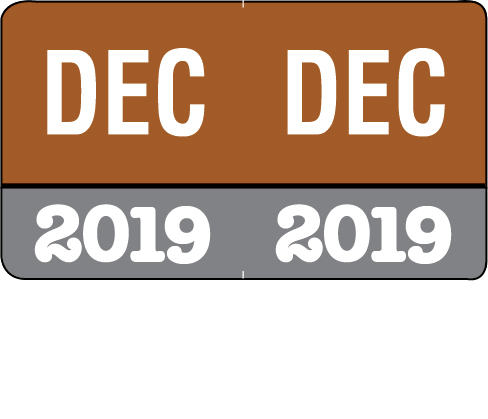 Month/Year Labels 2019 - Complete Set Jan-December Convenience Pack - 216 Labels Total (18 of each month) - 1-1/2" W x 1" H