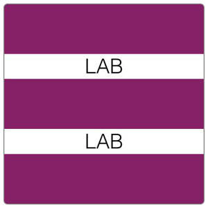 Patient Chart Index Tabs/Labels - "LAB" -  Purple - 1-1/2" H x 1-1/2" W - 102/Pack