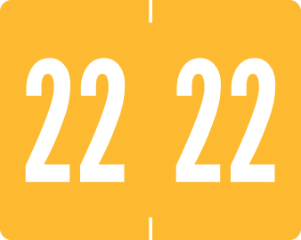 TAB Yearband Label - 1309 Series - 2022 - Yellow - 1" H x 1 1/4" W - 500/Roll