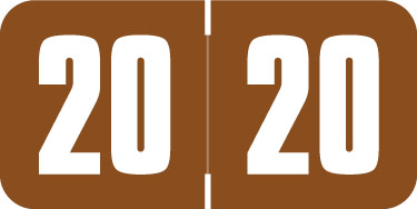 Safeguard Yearband Label (Rolls of 500) - 2020 - BROWN - SGYM Series - Laminated -  3/4" H x 1-1/2" W